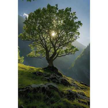 Nature Tree Canvas